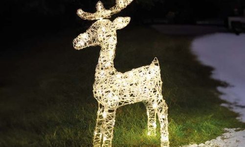 reindeer light display