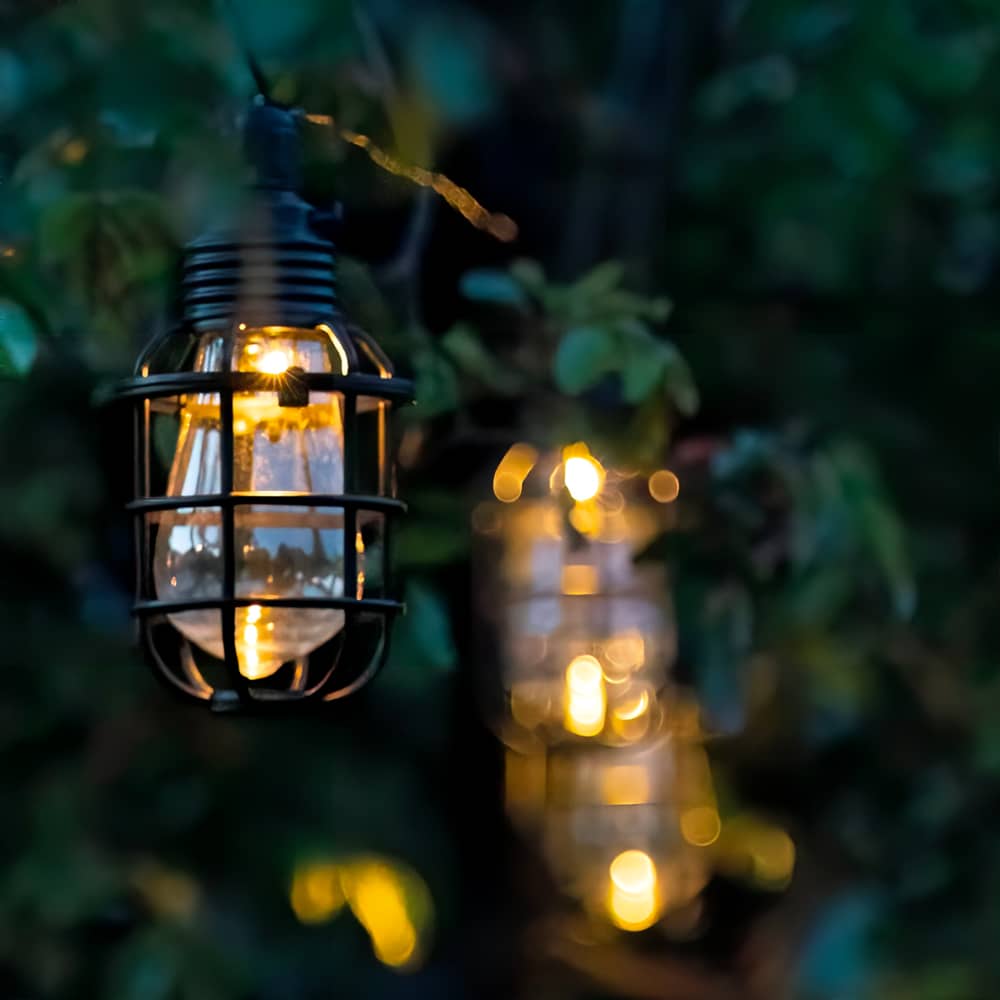 Elan Festoon Cage Solar Lights (Set of 10) key features