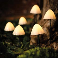 Forest XL Solar Mushroom Lights - Set of 6