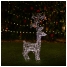 Lumify Warm White & White USB Solar Christmas Lights - Small Reindeer ...